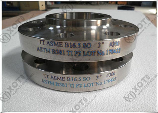 Titanium Flanges